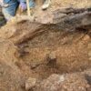 Well-Aged Oud Wood Chips